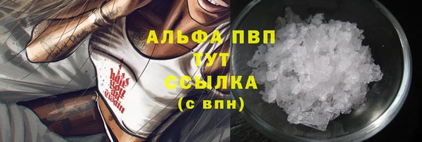спиды Гусев