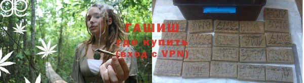 спиды Гусев