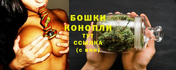 спиды Гусев