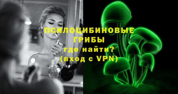 спиды Гусев
