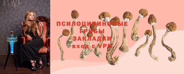 COCAINE Гусь-Хрустальный