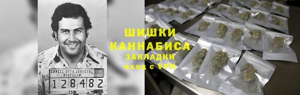 спиды Гусев