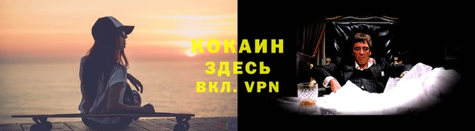 спиды Гусев