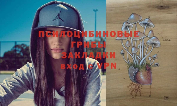 COCAINE Гусь-Хрустальный