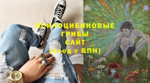 спиды Гусев