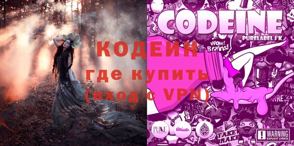 спиды Гусев