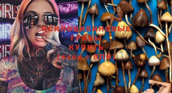 COCAINE Гусь-Хрустальный